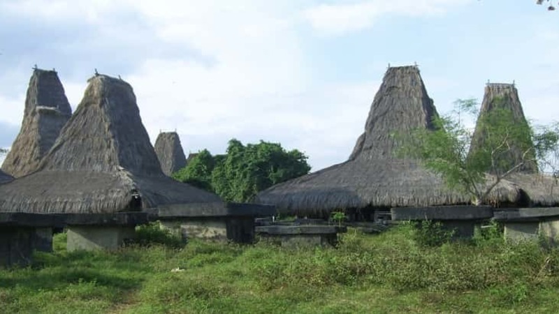 Homes in Sumba